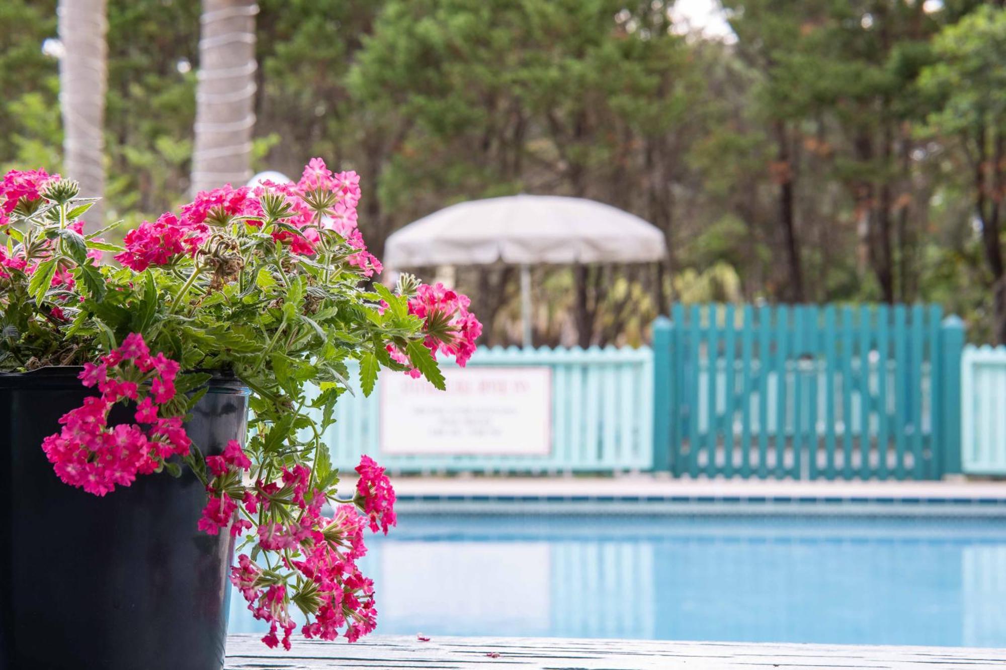 Steinhatchee River Inn And Marina Ngoại thất bức ảnh
